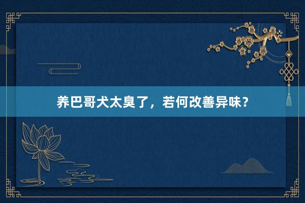 养巴哥犬太臭了，若何改善异味？