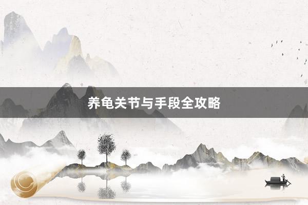 养龟关节与手段全攻略
